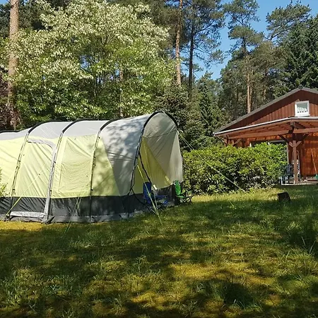 Ferienhaus im Grünen Wietzendorf Exterior foto