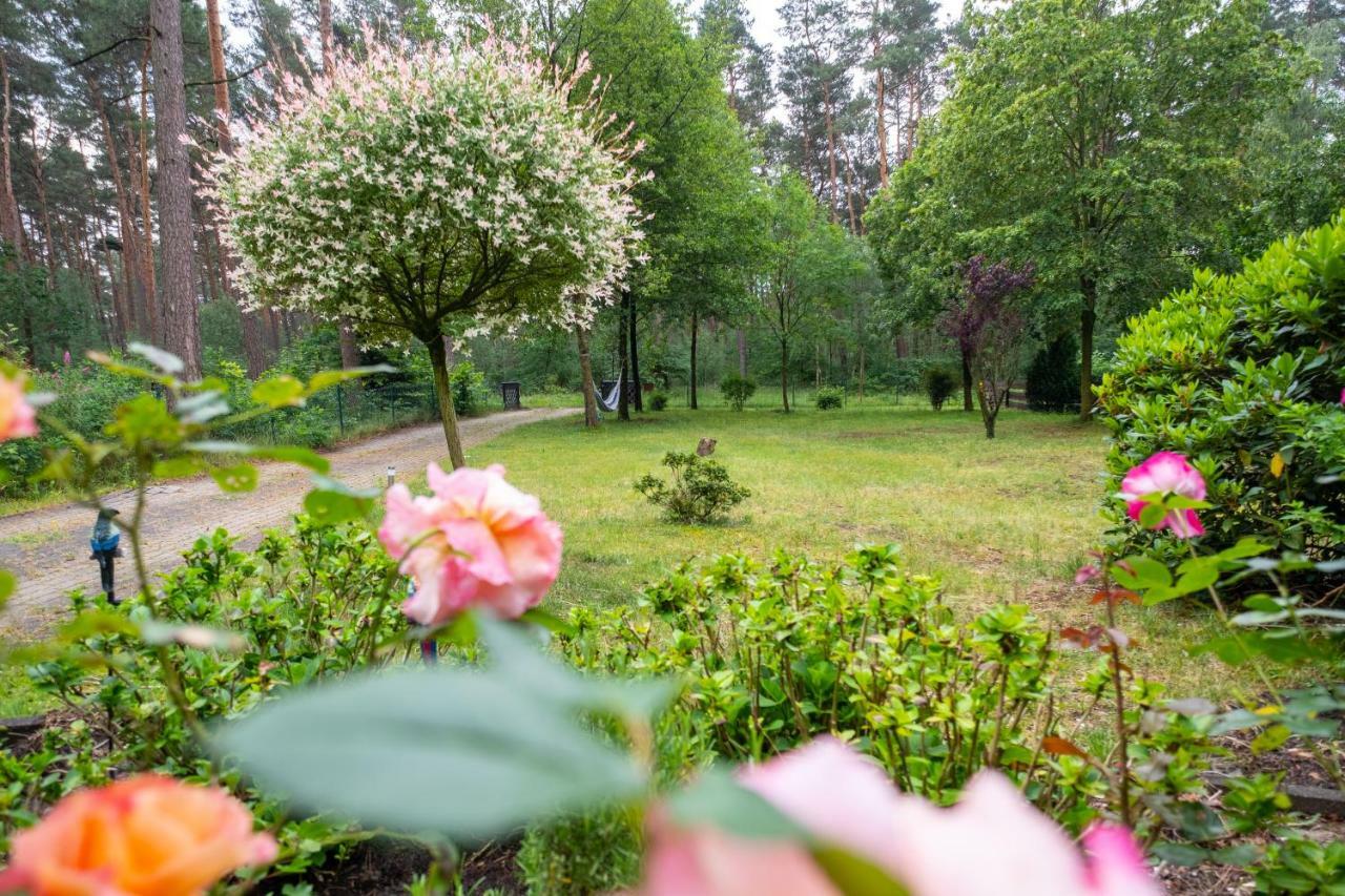 Holiday home Im Gruenen *